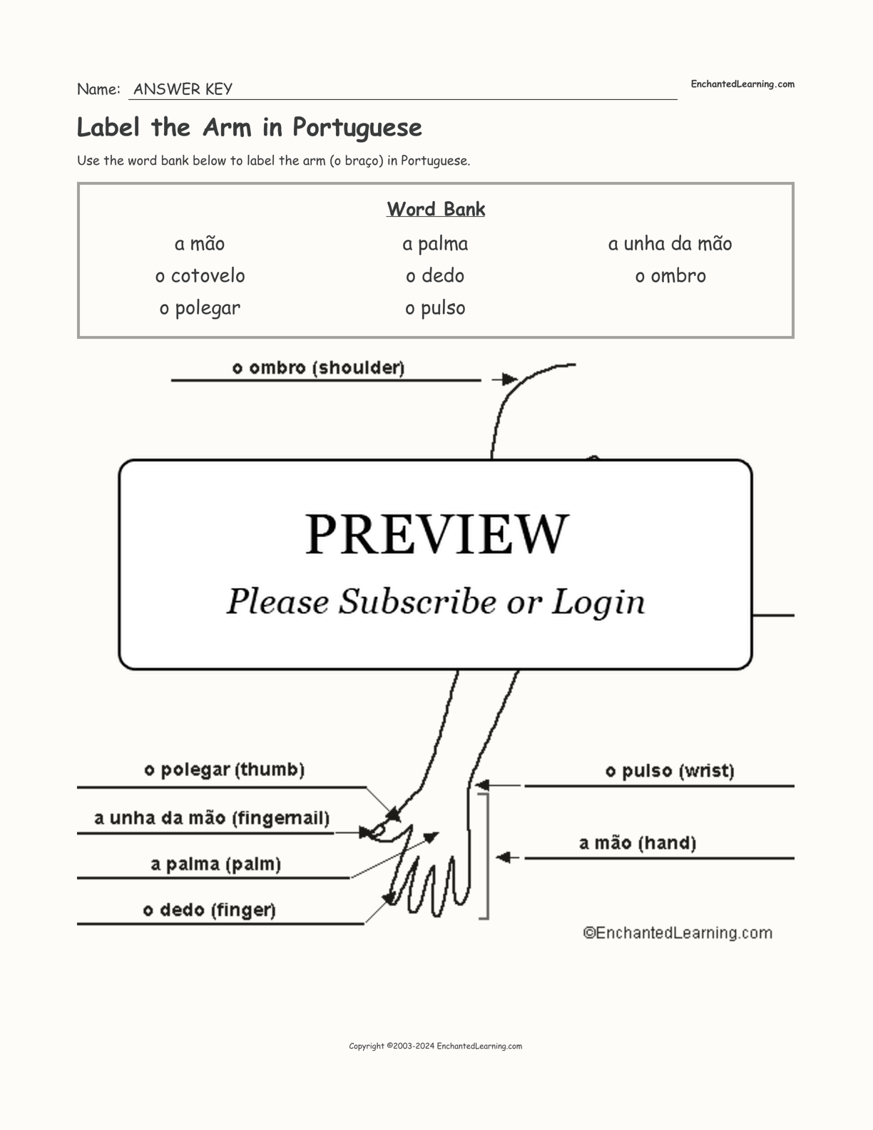 Label the Arm in Portuguese interactive worksheet page 2